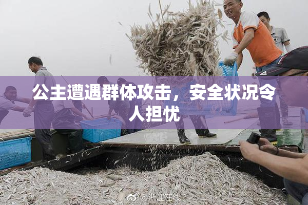 公主遭遇群体攻击，安全状况令人担忧