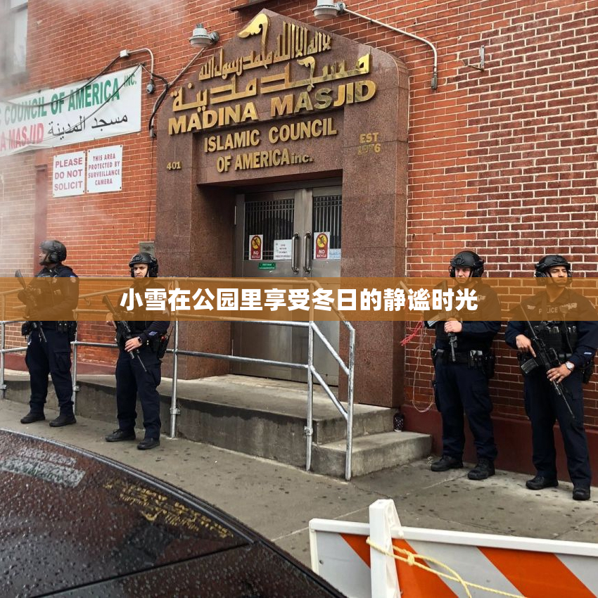 小雪在公园里享受冬日的静谧时光