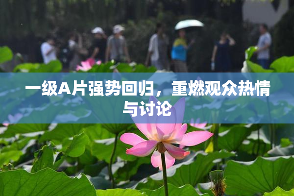 一级A片强势回归，重燃观众热情与讨论