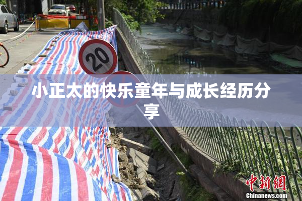 小正太的快乐童年与成长经历分享
