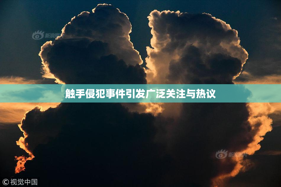 触手侵犯事件引发广泛关注与热议