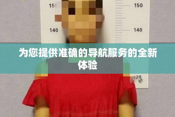 为您提供准确的导航服务的全新体验
