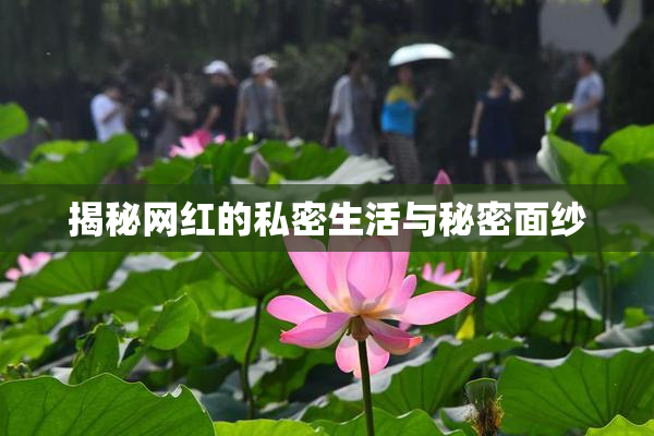 揭秘网红的私密生活与秘密面纱