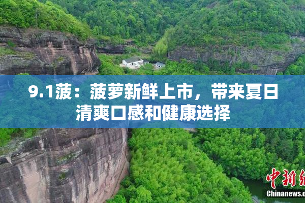 9.1菠：菠萝新鲜上市，带来夏日清爽口感和健康选择