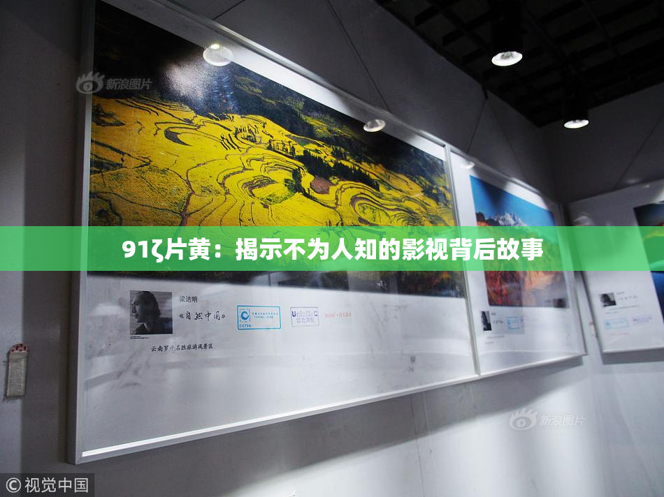 91ζ片黄：揭示不为人知的影视背后故事