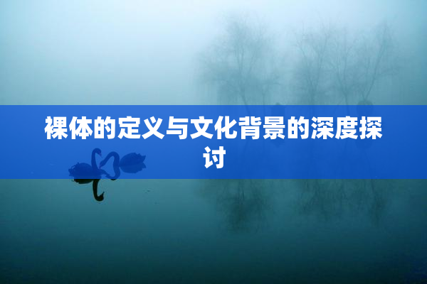 裸体的定义与文化背景的深度探讨