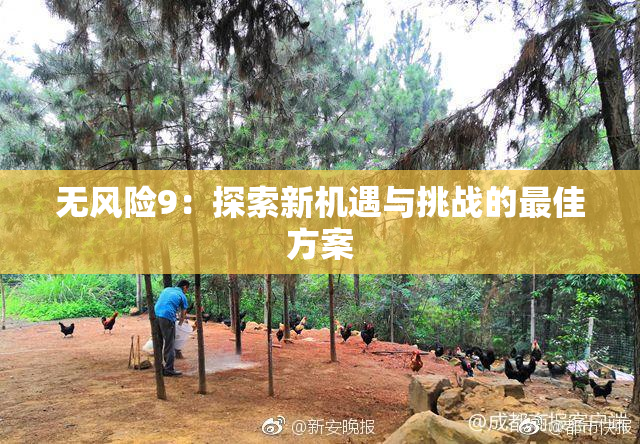 无风险9：探索新机遇与挑战的最佳方案