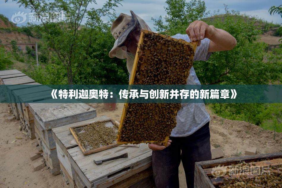 《特利迦奥特：传承与创新并存的新篇章》