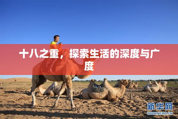 十八之重，探索生活的深度与广度