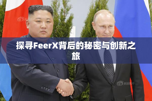 探寻FeerX背后的秘密与创新之旅