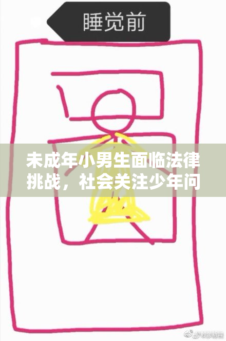 未成年小男生面临法律挑战，社会关注少年问题