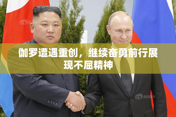 伽罗遭遇重创，继续奋勇前行展现不屈精神