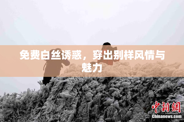 免费白丝诱惑，穿出别样风情与魅力