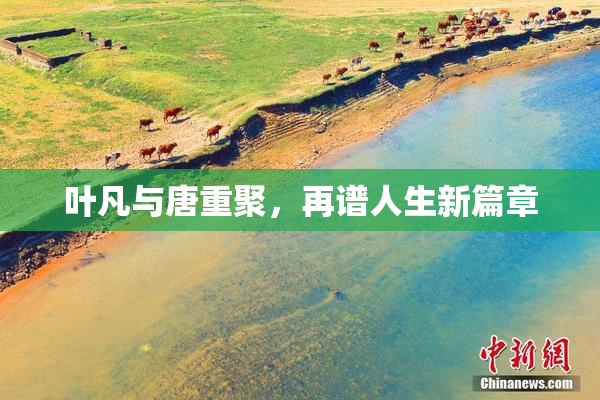 叶凡与唐重聚，再谱人生新篇章