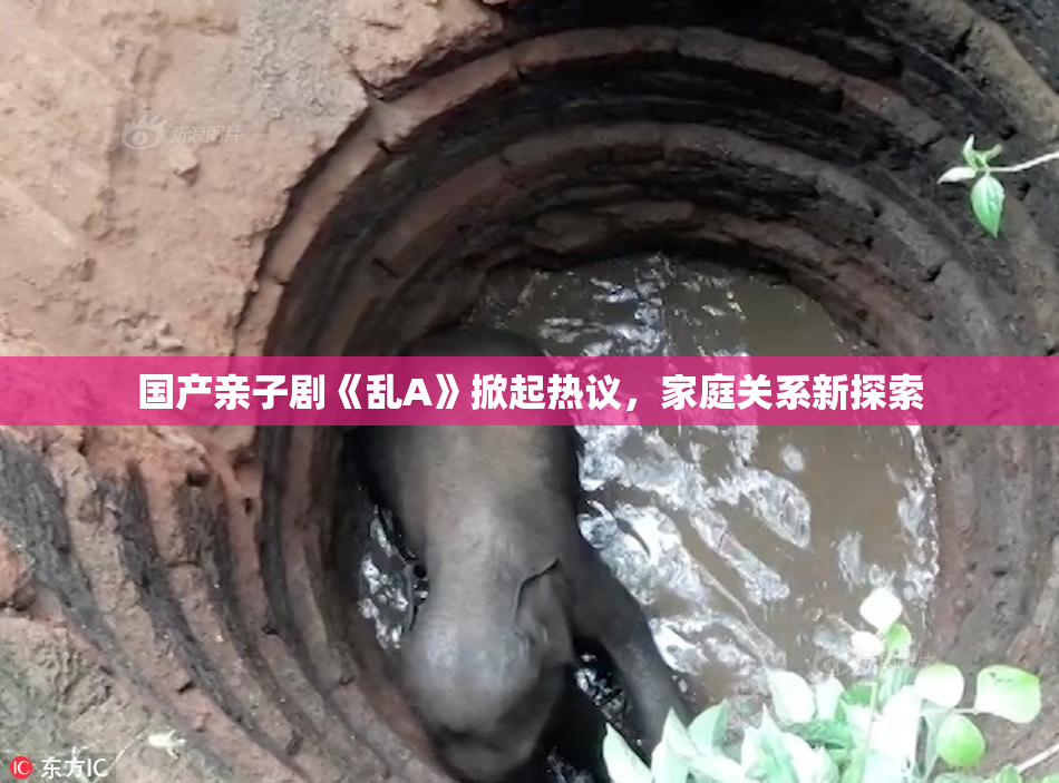 国产亲子剧《乱A》掀起热议，家庭关系新探索