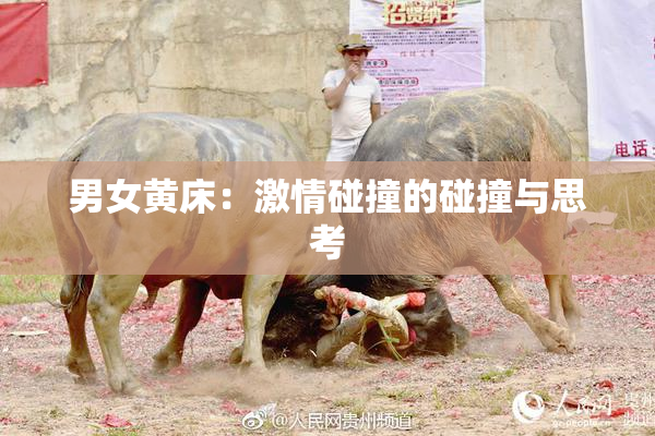 男女黄床：激情碰撞的碰撞与思考
