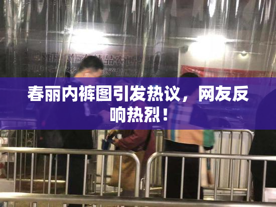 春丽内裤图引发热议，网友反响热烈！