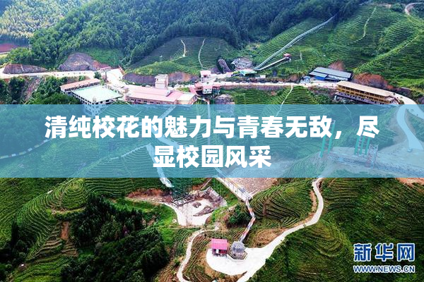 清纯校花的魅力与青春无敌，尽显校园风采