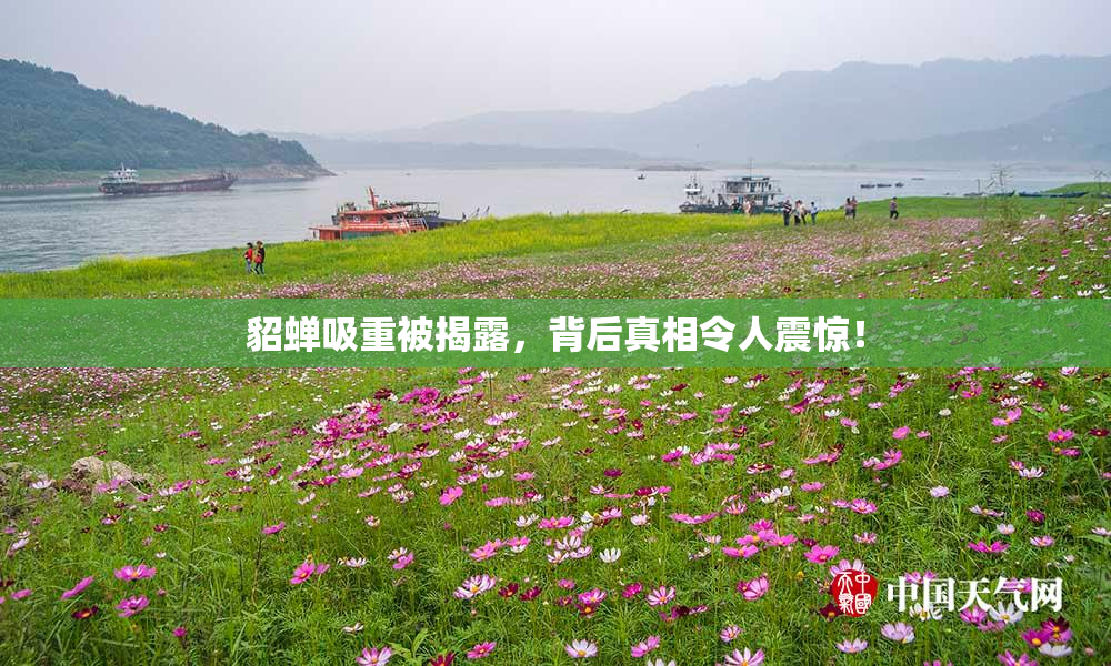 貂蝉吸重被揭露，背后真相令人震惊！