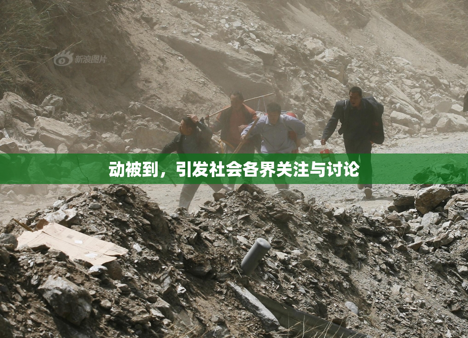 动被到，引发社会各界关注与讨论