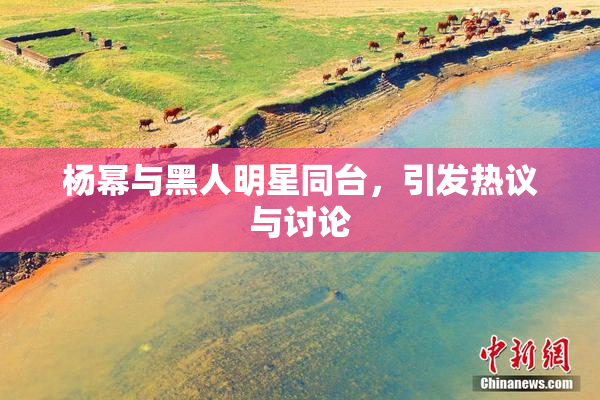 杨幂与黑人明星同台，引发热议与讨论