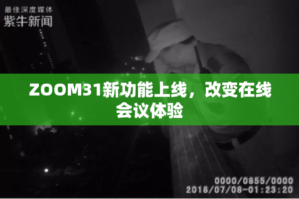 ZOOM31新功能上线，改变在线会议体验