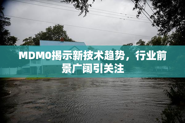 MDM0揭示新技术趋势，行业前景广阔引关注