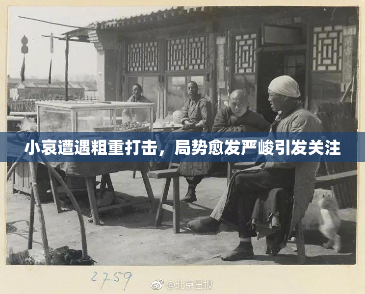 小哀遭遇粗重打击，局势愈发严峻引发关注