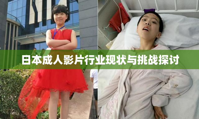 日本成人影片行业现状与挑战探讨