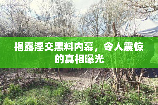 揭露淫交黑料内幕，令人震惊的真相曝光