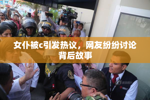 女仆被c引发热议，网友纷纷讨论背后故事