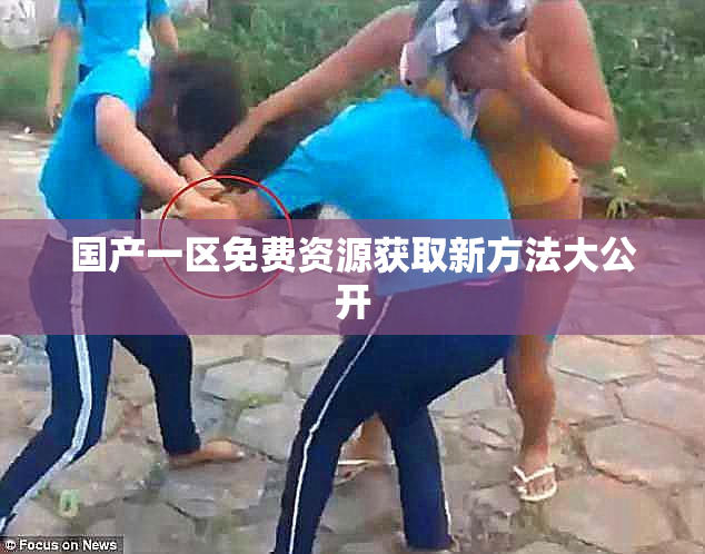 国产一区免费资源获取新方法大公开