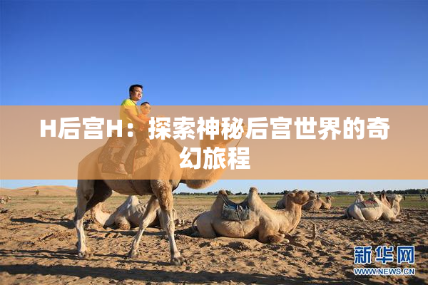 H后宫H：探索神秘后宫世界的奇幻旅程