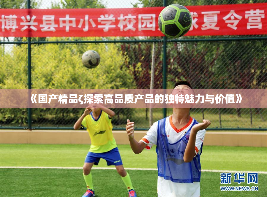 《国产精品ζ探索高品质产品的独特魅力与价值》