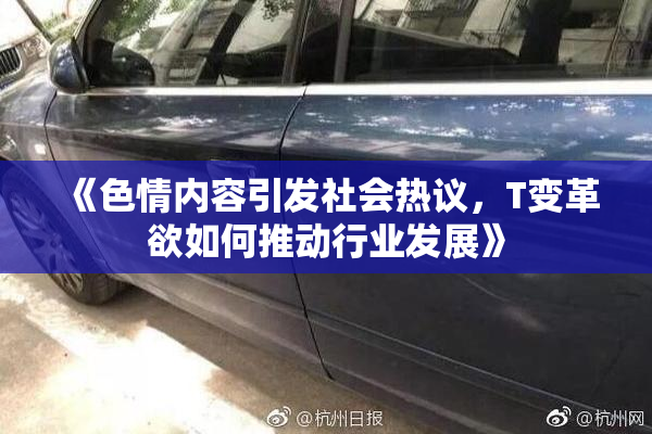 《色情内容引发社会热议，T变革欲如何推动行业发展》