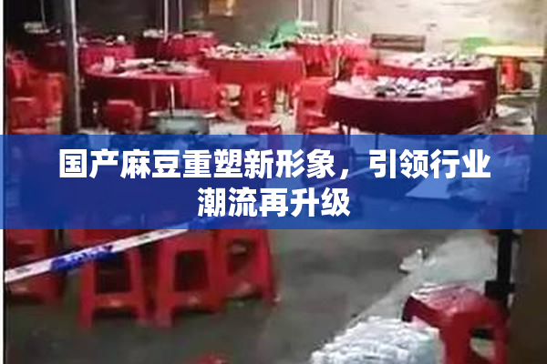 国产麻豆重塑新形象，引领行业潮流再升级