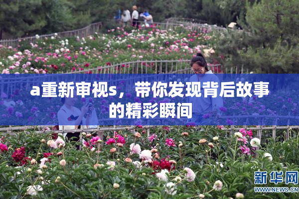 a重新审视s，带你发现背后故事的精彩瞬间