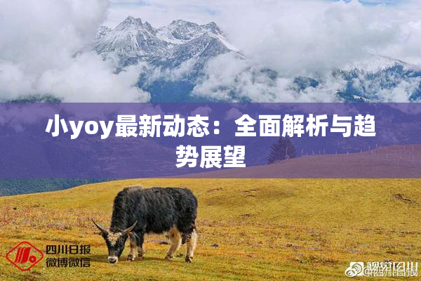 小yoy最新动态：全面解析与趋势展望