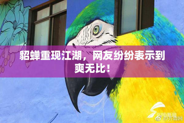 貂蝉重现江湖，网友纷纷表示到爽无比！