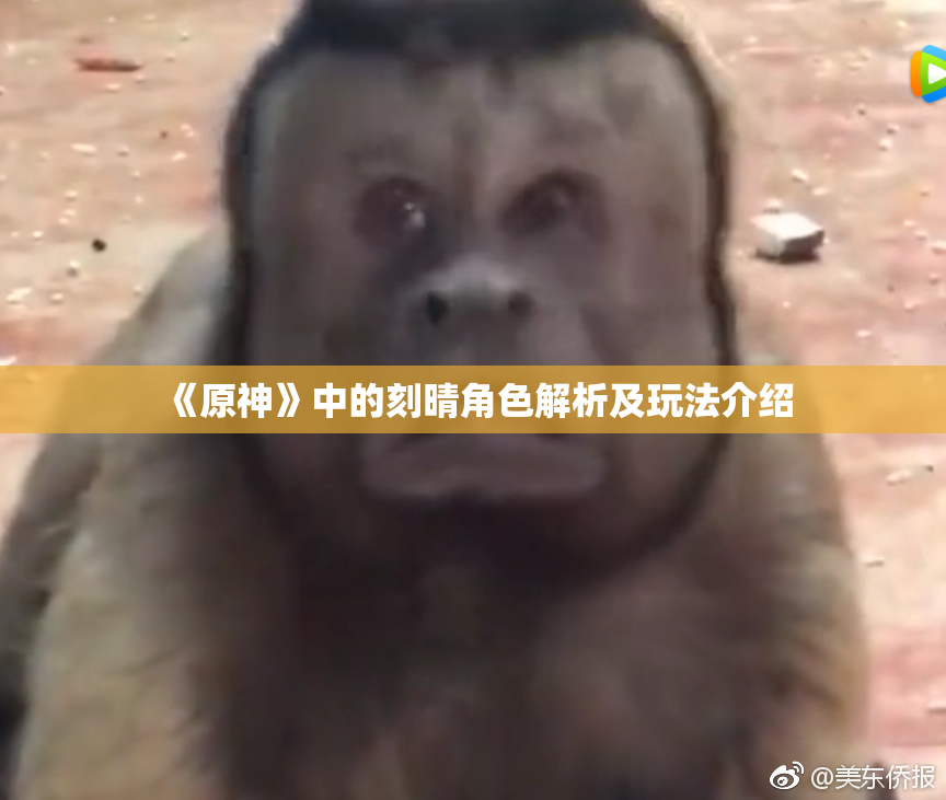 《原神》中的刻晴角色解析及玩法介绍