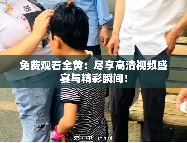 免费观看全黄：尽享高清视频盛宴与精彩瞬间！