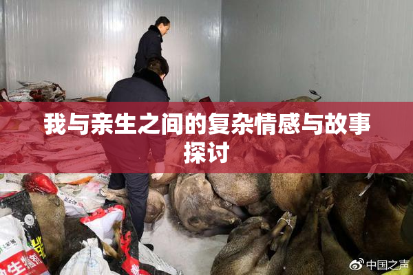 我与亲生之间的复杂情感与故事探讨