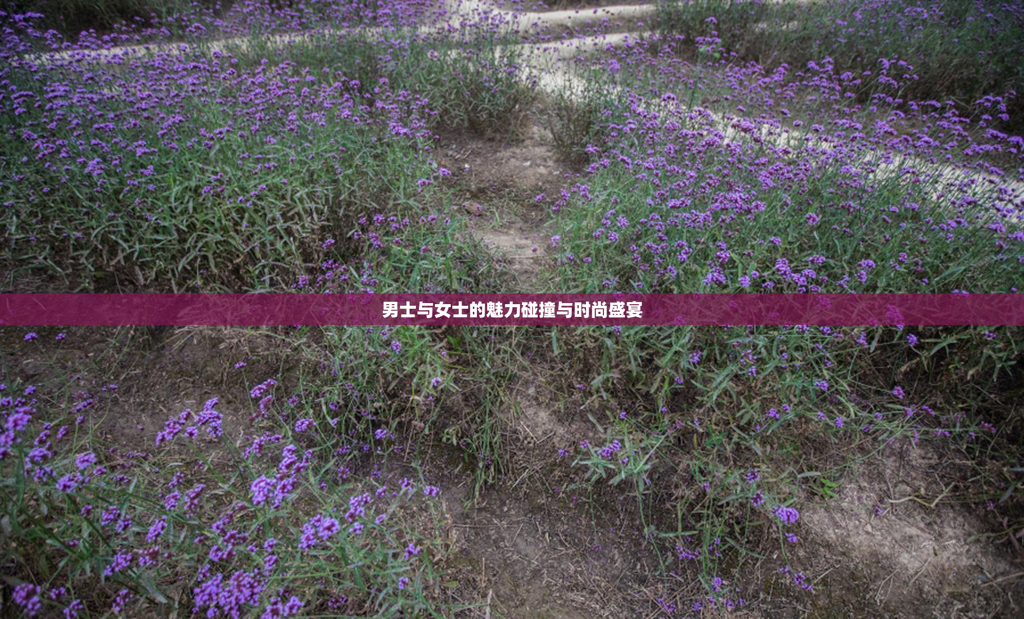男士与女士的魅力碰撞与时尚盛宴