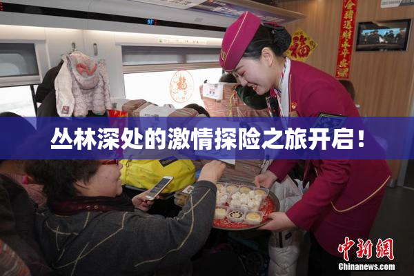 丛林深处的激情探险之旅开启！