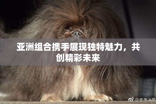亚洲组合携手展现独特魅力，共创精彩未来