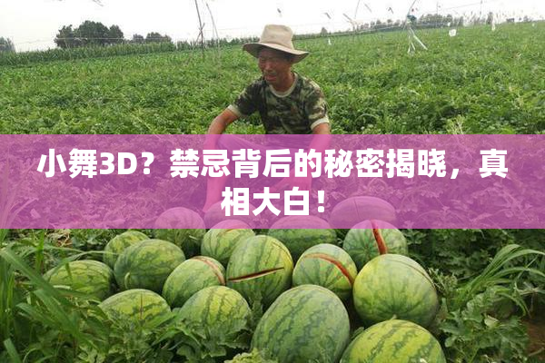 小舞3D？禁忌背后的秘密揭晓，真相大白！