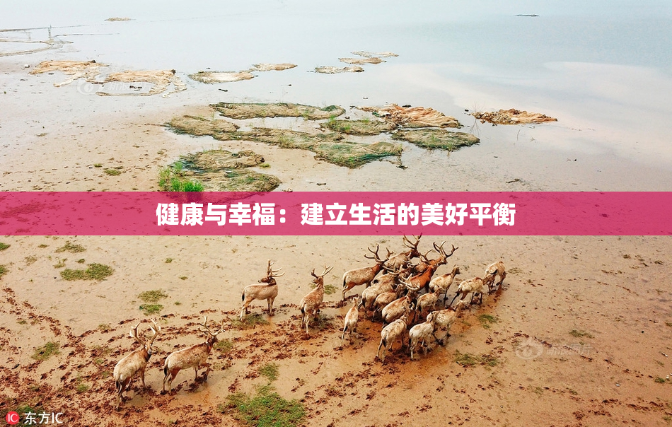 健康与幸福：建立生活的美好平衡