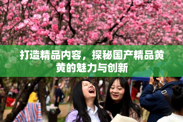 打造精品内容，探秘国产精品黄黄的魅力与创新