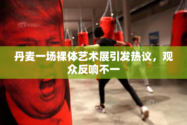 丹麦一场裸体艺术展引发热议，观众反响不一
