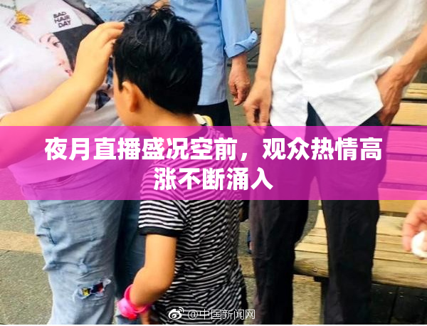 夜月直播盛况空前，观众热情高涨不断涌入